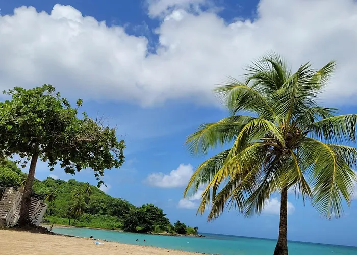 Ada Apartments Saint Lucia